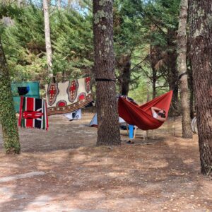 sieste sous les pins